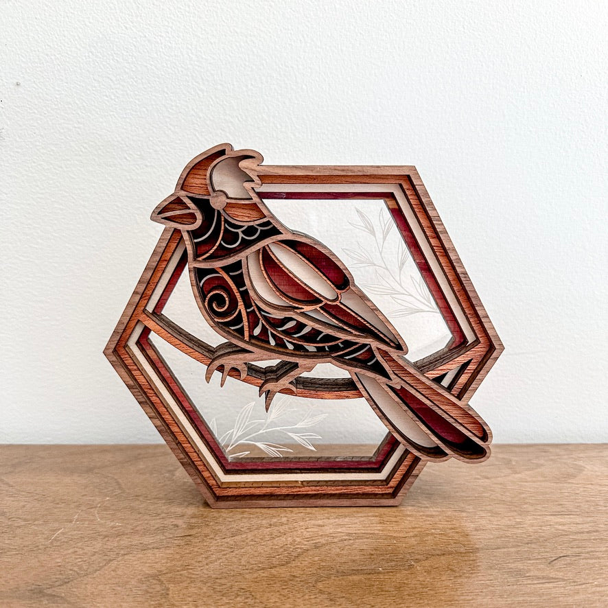 Cardinal Hexagon Shadowbox