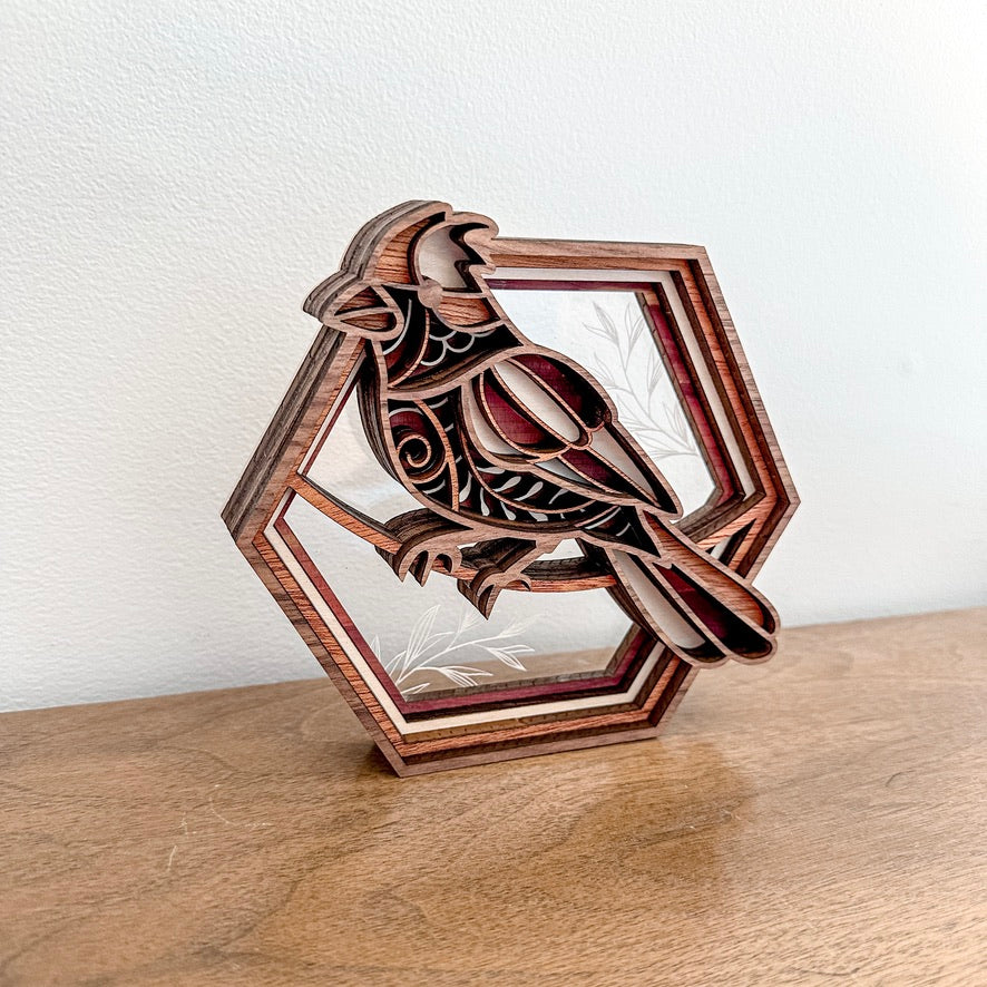 Cardinal Hexagon Shadowbox