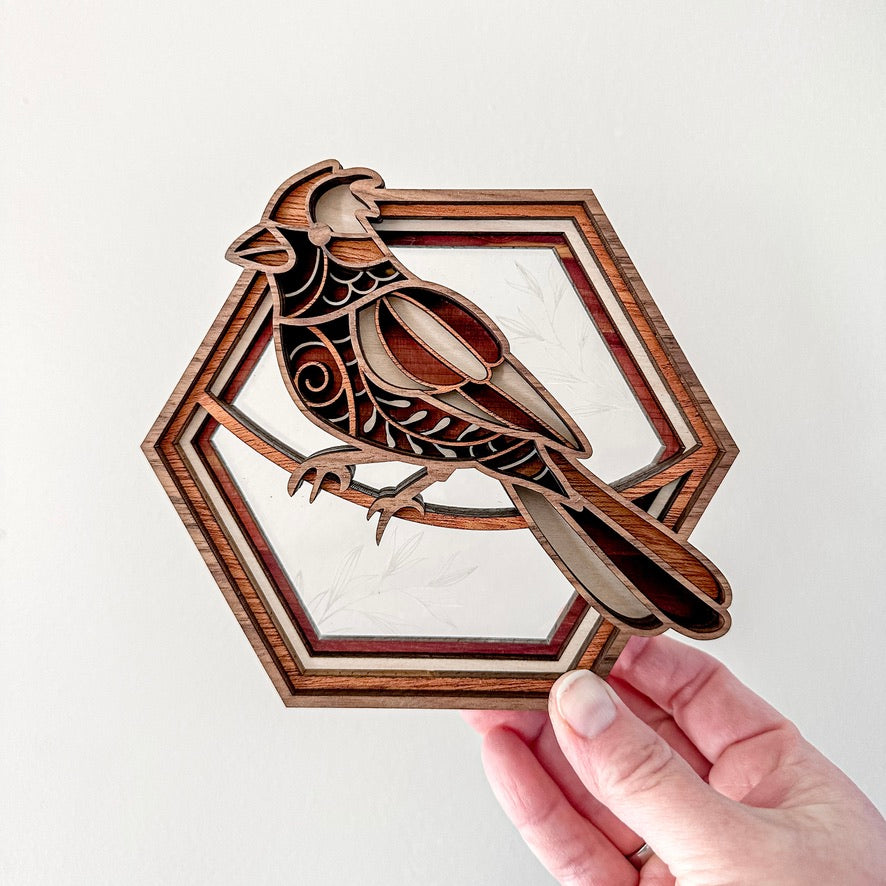 Cardinal Hexagon Shadowbox