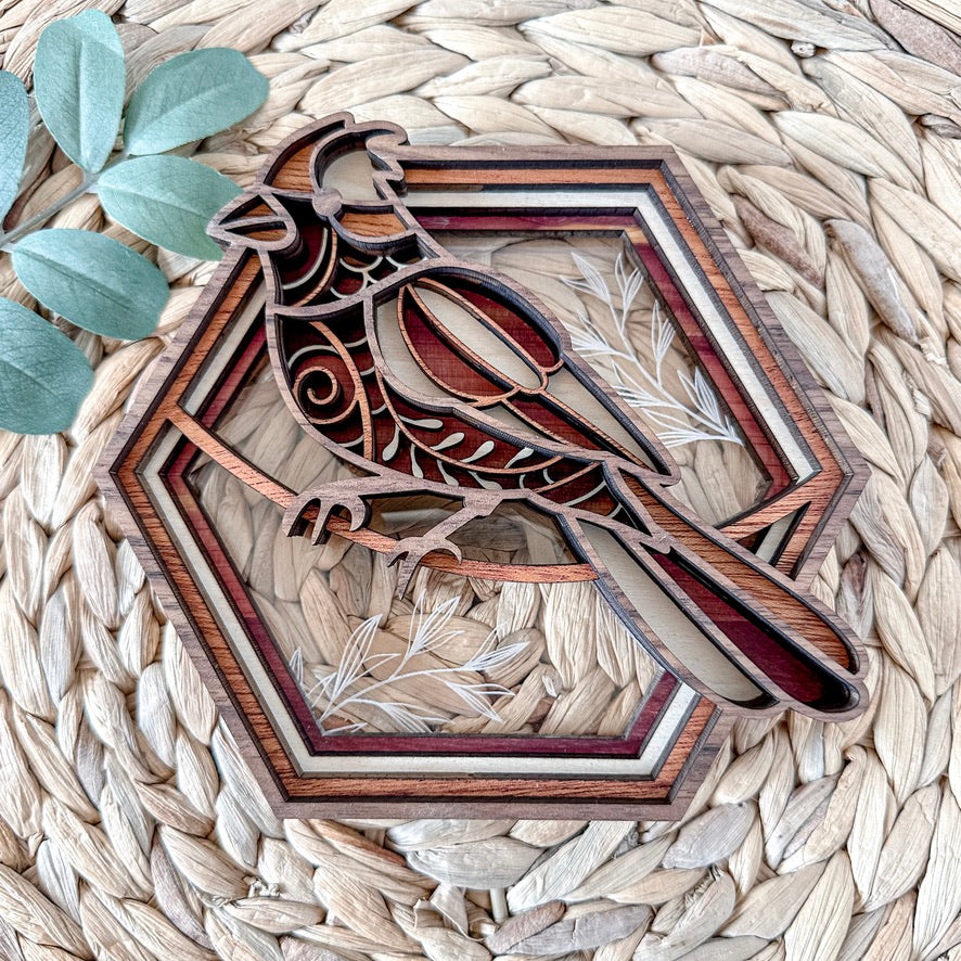 Cardinal Hexagon Shadowbox