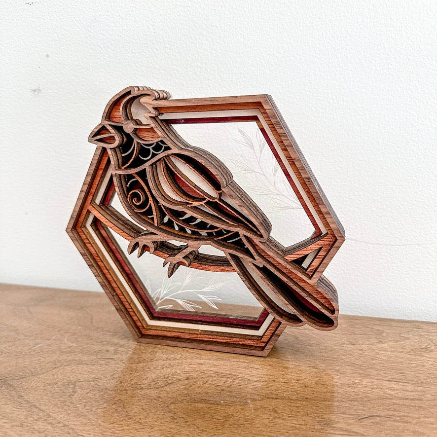 Cardinal Hexagon Shadowbox